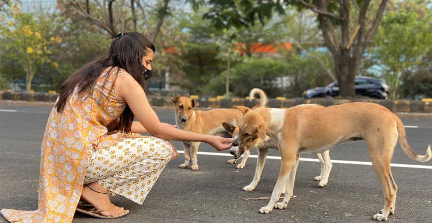 A Speechless volunteer feeding stray dogs on the street