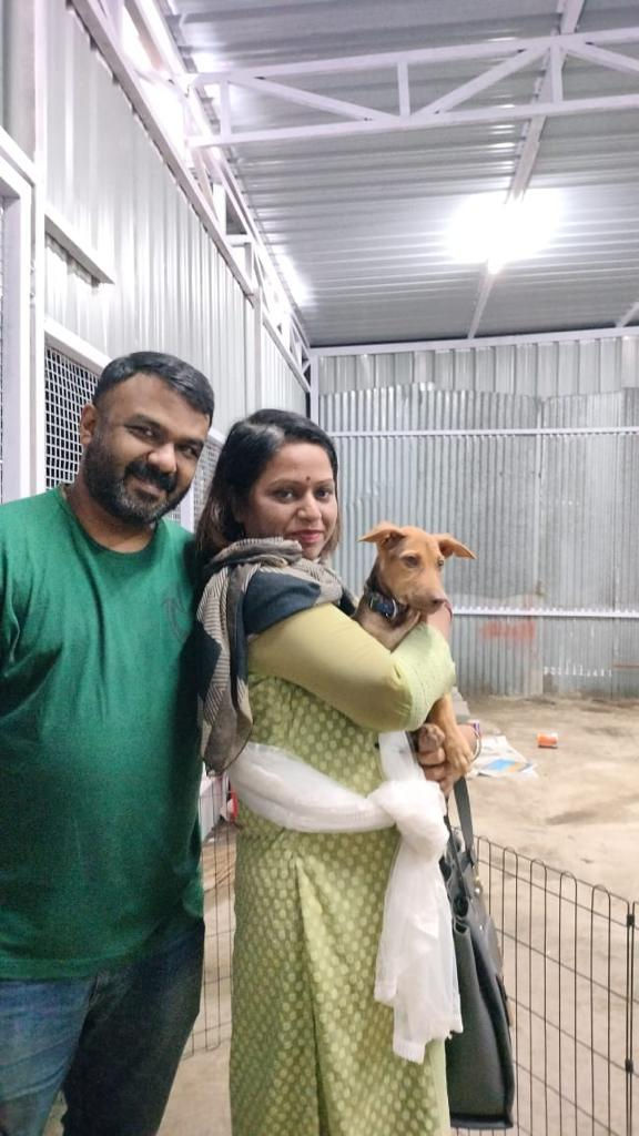 Veera, rescued from a drainage pipe