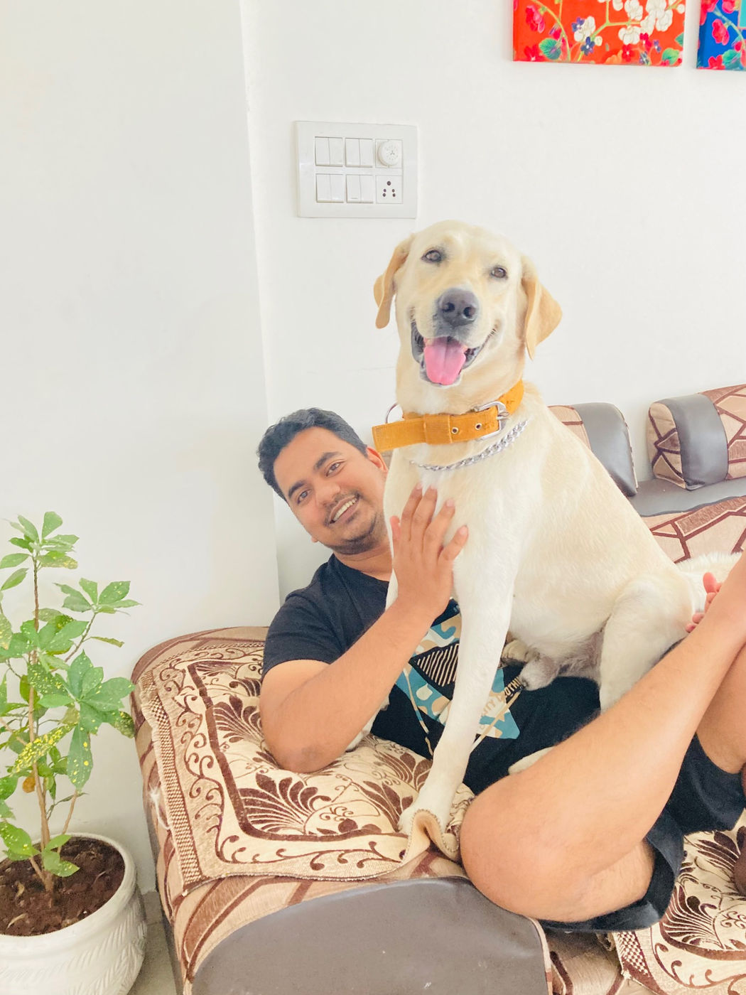Speechless volunteers with rescued dogs