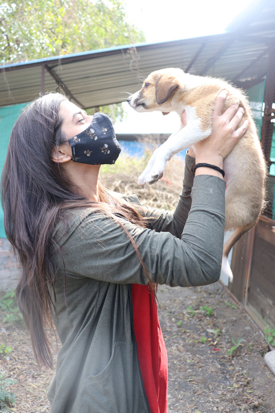 Volunteers caring for shelter puppies