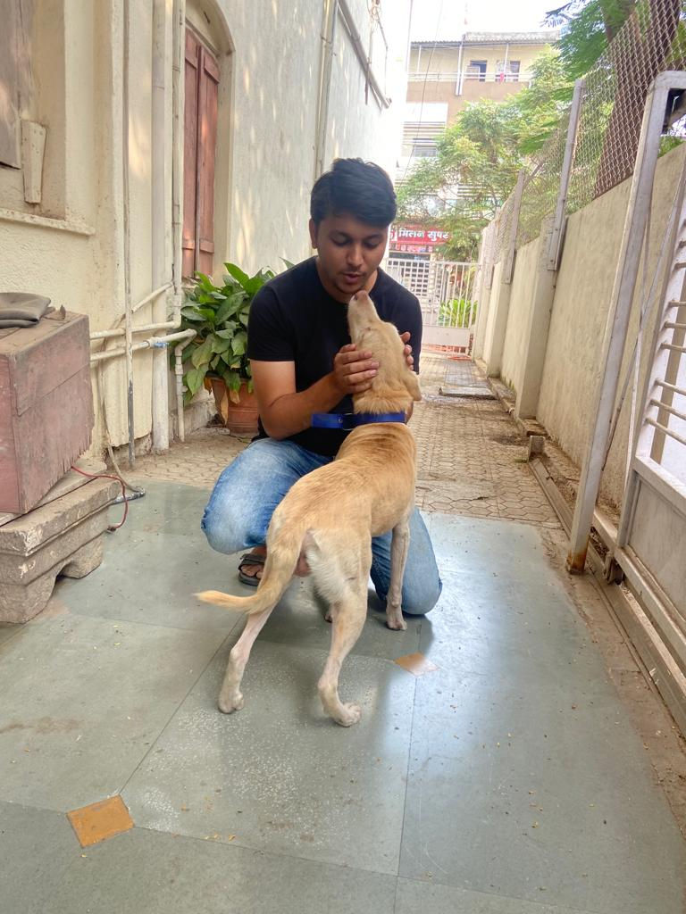 A Speechless volunteer feeding a stray dog