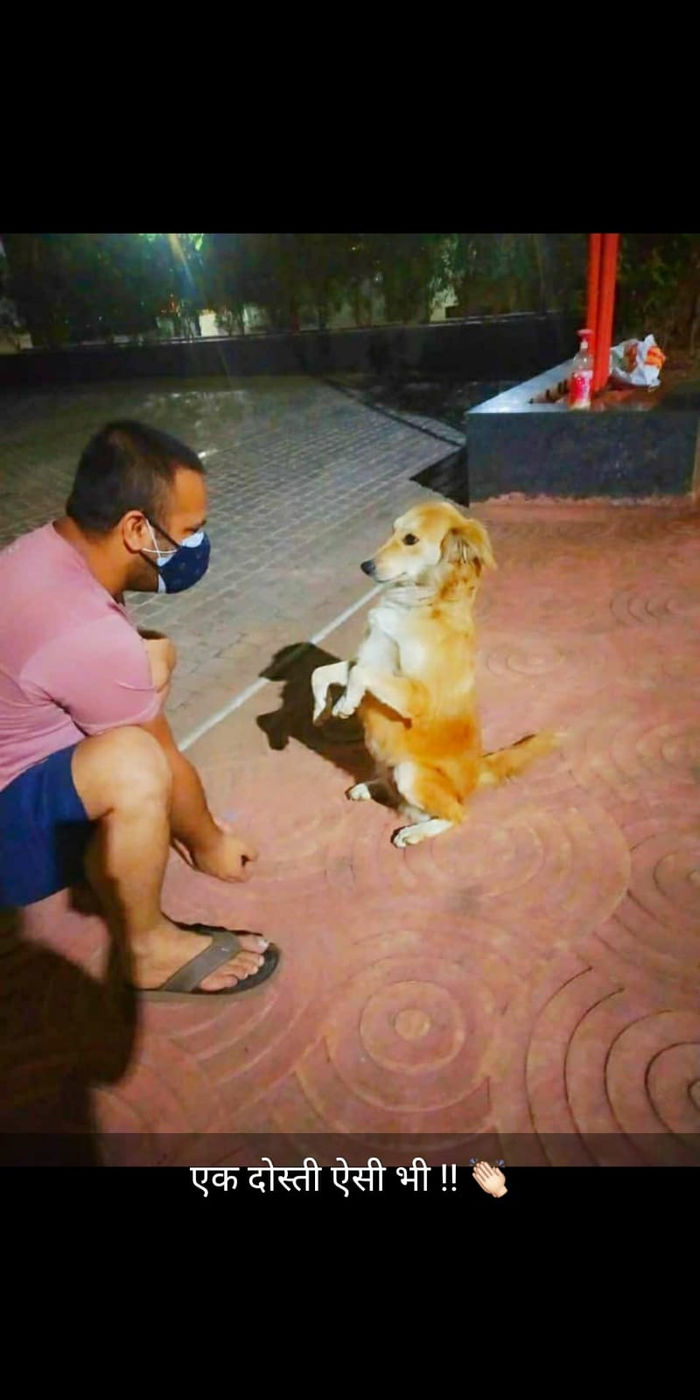 Volunteers with puppies at the shelter